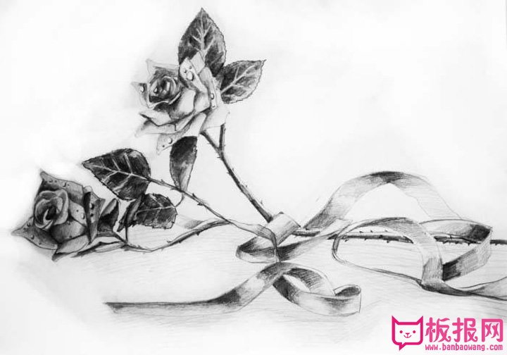 静物素描，玫瑰花素描图片