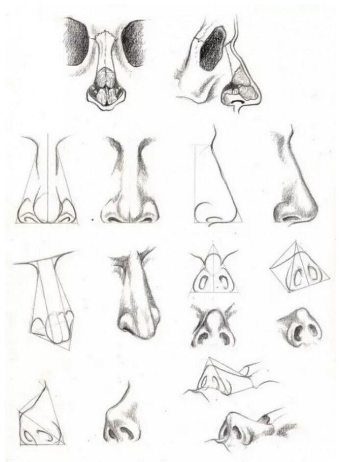人体结构素描图片，鼻子素描参考图