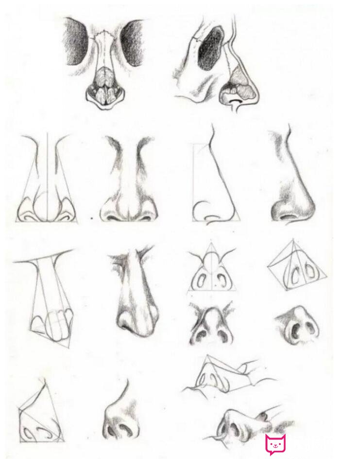 人体结构素描图片，鼻子素描参考图