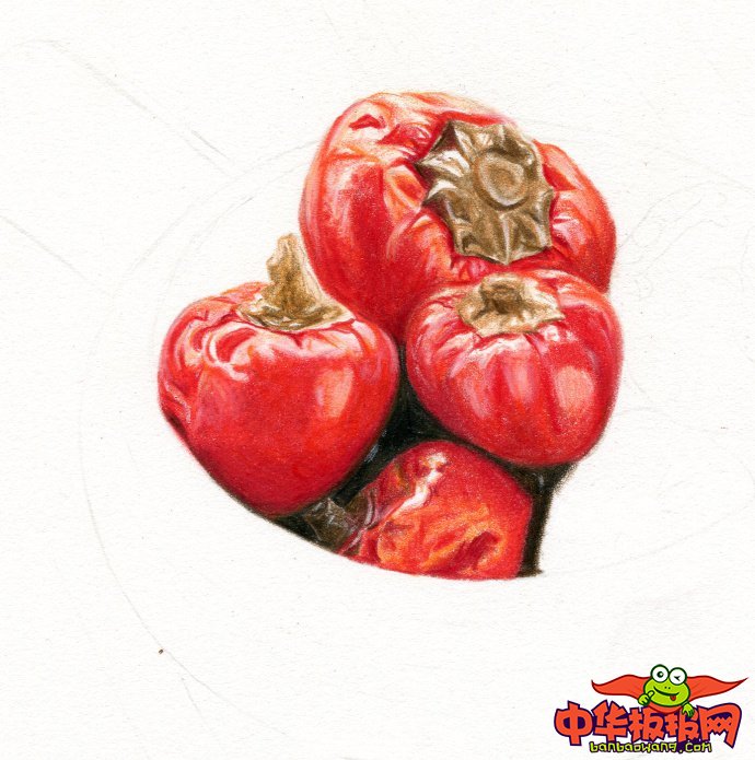 彩铅手绘教程图解，红艳艳的泡椒