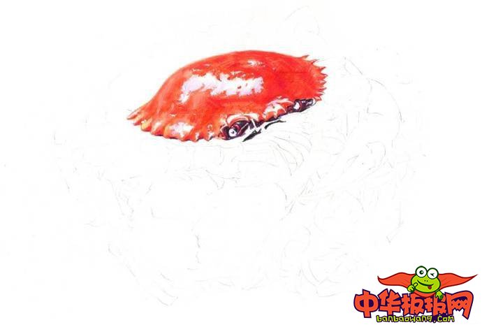 螃蟹怎么画，螃蟹彩铅画教程图解
