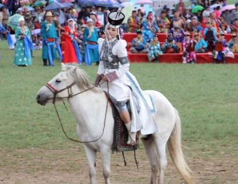蒙古草原的马是世界耐力最好的马 连跑10天没问题