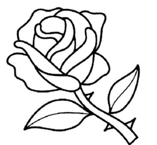 玫瑰花的简笔画