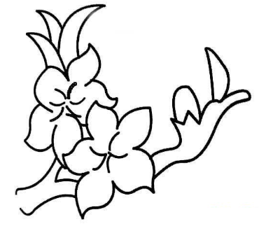 桃花植物简笔画