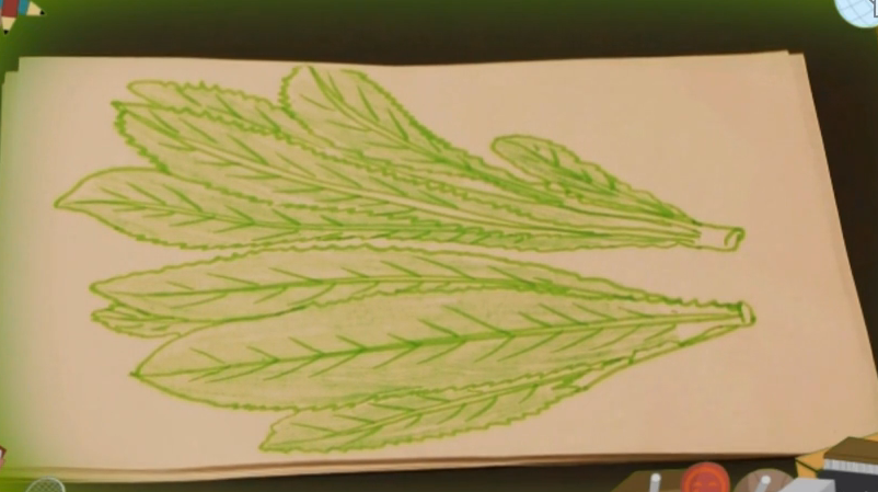 教你如何画油麦菜 儿童绘画视频